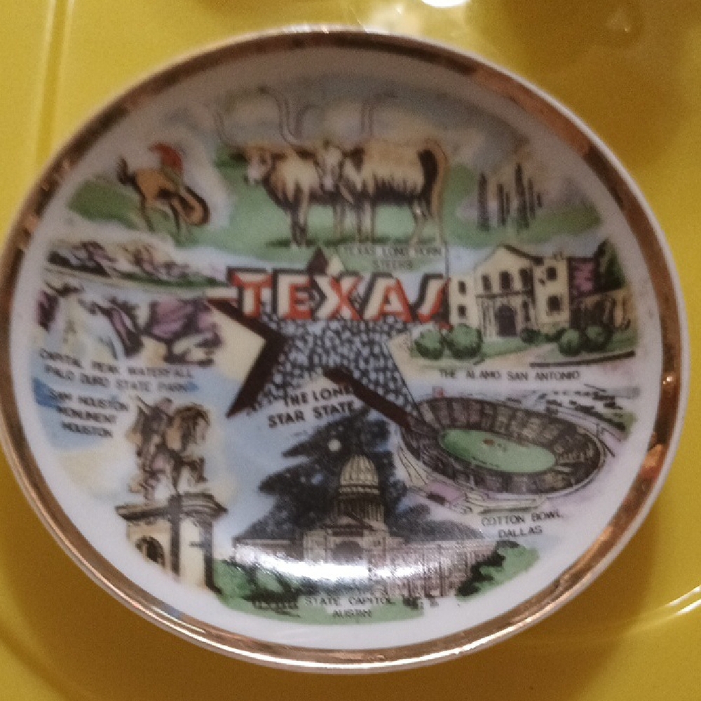 Texas Souvenir Plate
